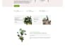 design a website landing page and html portfolio website